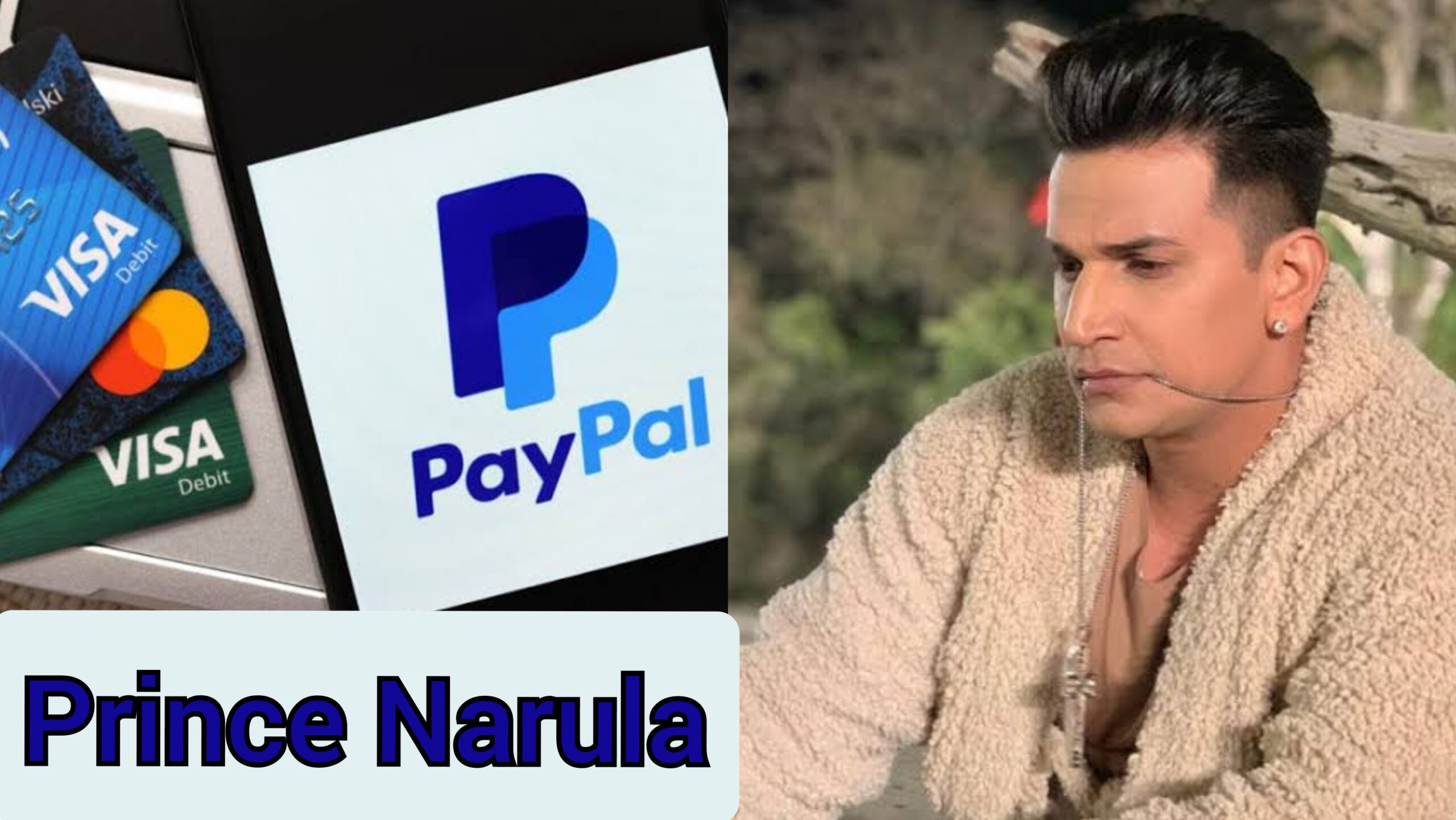 Prince Narula Digital PayPal